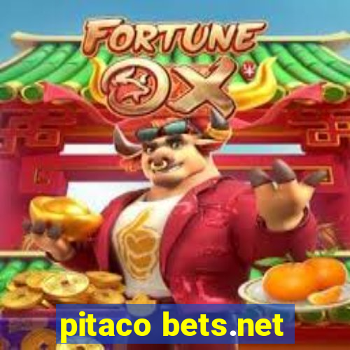 pitaco bets.net